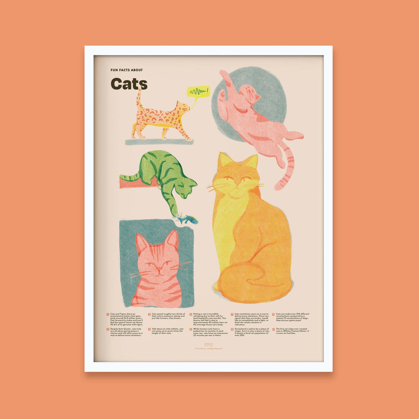 Cat Fun Facts Print